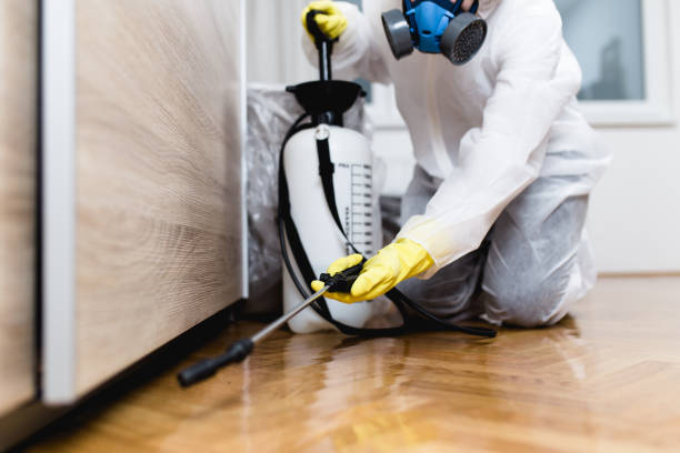 Best Residential Pest Control  in Church Hill, PA
