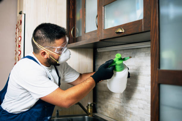 Best Cockroach Control Services  in Church Hill, PA