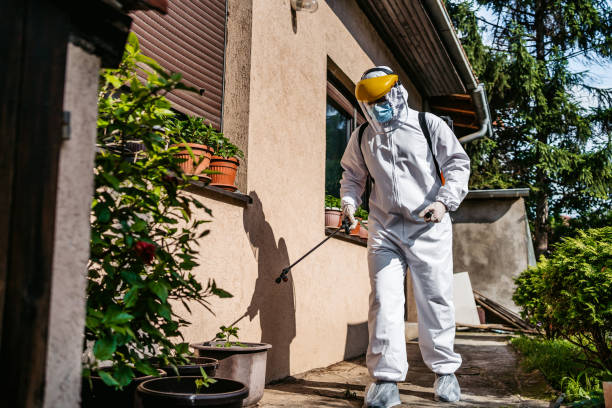 Best Wasp Removal Services  in Church Hill, PA