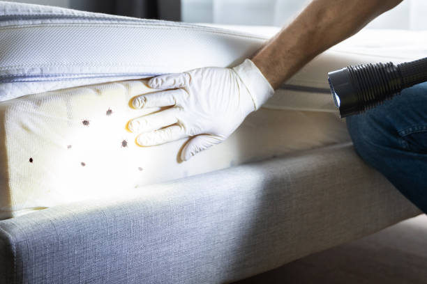 Best Pest Control Near Me  in Church Hill, PA