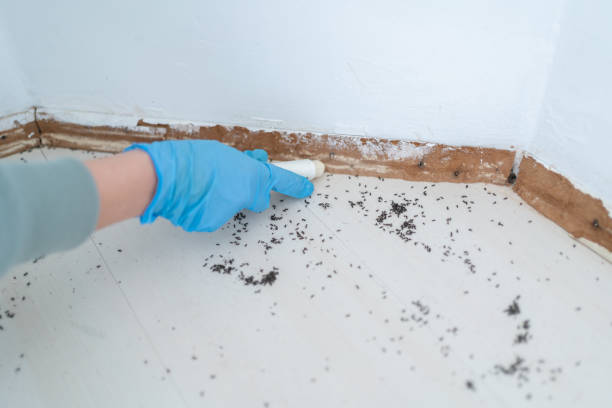Reliable Church Hill, PA Pest Control Solutions